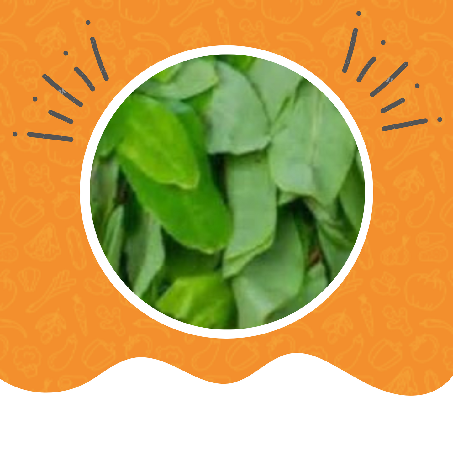 Dry Oha Leaf