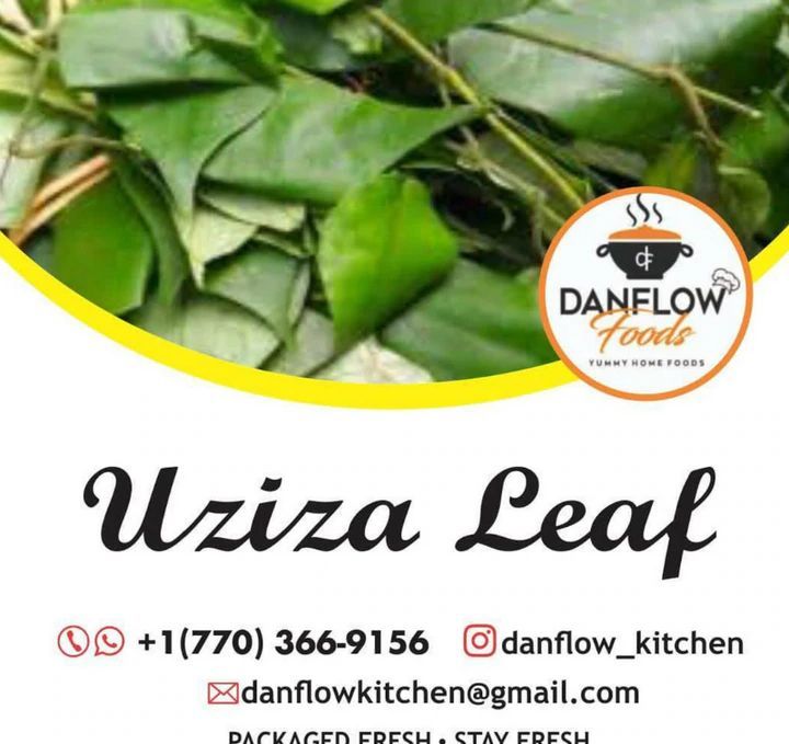 Uziza Leaf