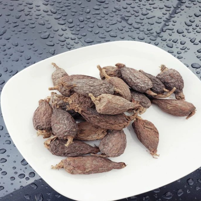 Alligator Pepper 6packs 6in a pack