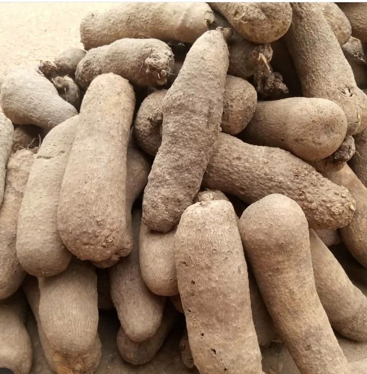 Yam